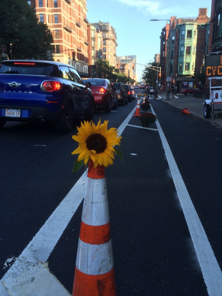 Boston cyclist Jonathan Fertig created a temporary protected bike lane in Boston this week using $6 potted mums he bought at the hardware store. Photo: Jonathan Fertig