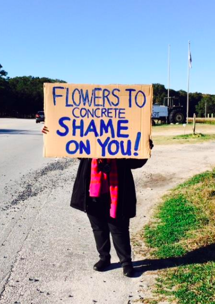 Grassroots opponents quashed plans to slice highway through island communities in Charleston. Photo: Nix 526