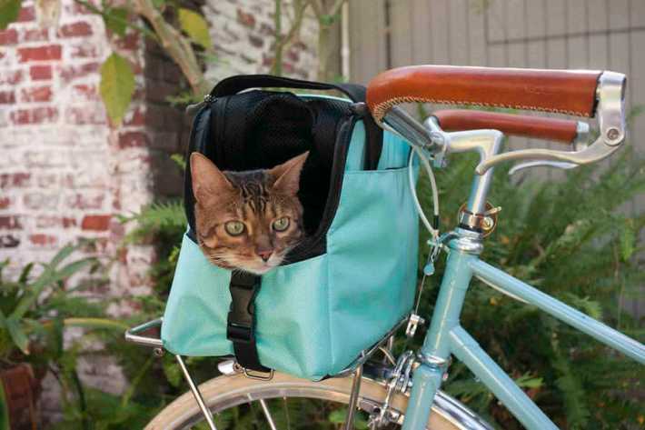 Via Travel With Kitties.