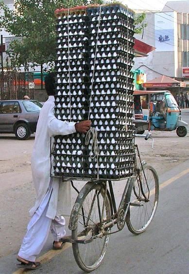 Eggs on bike