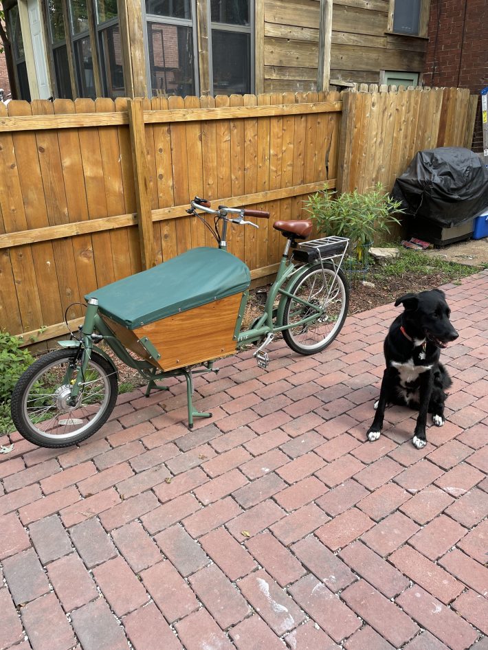 Zozo and our short-lived bakfiets. This is a pretty accurate depiction of how he felt about it.