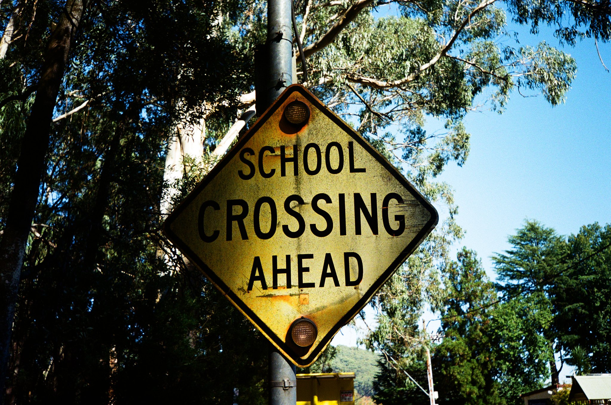 photo of Confessions of a Former School Crossing Guard image