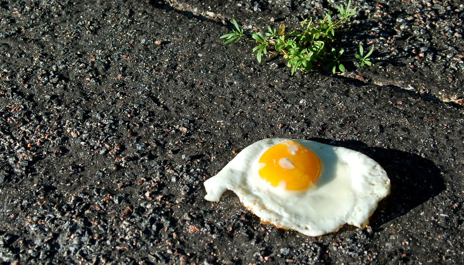 photo of This Heat Wave is a Car Dependency Problem image