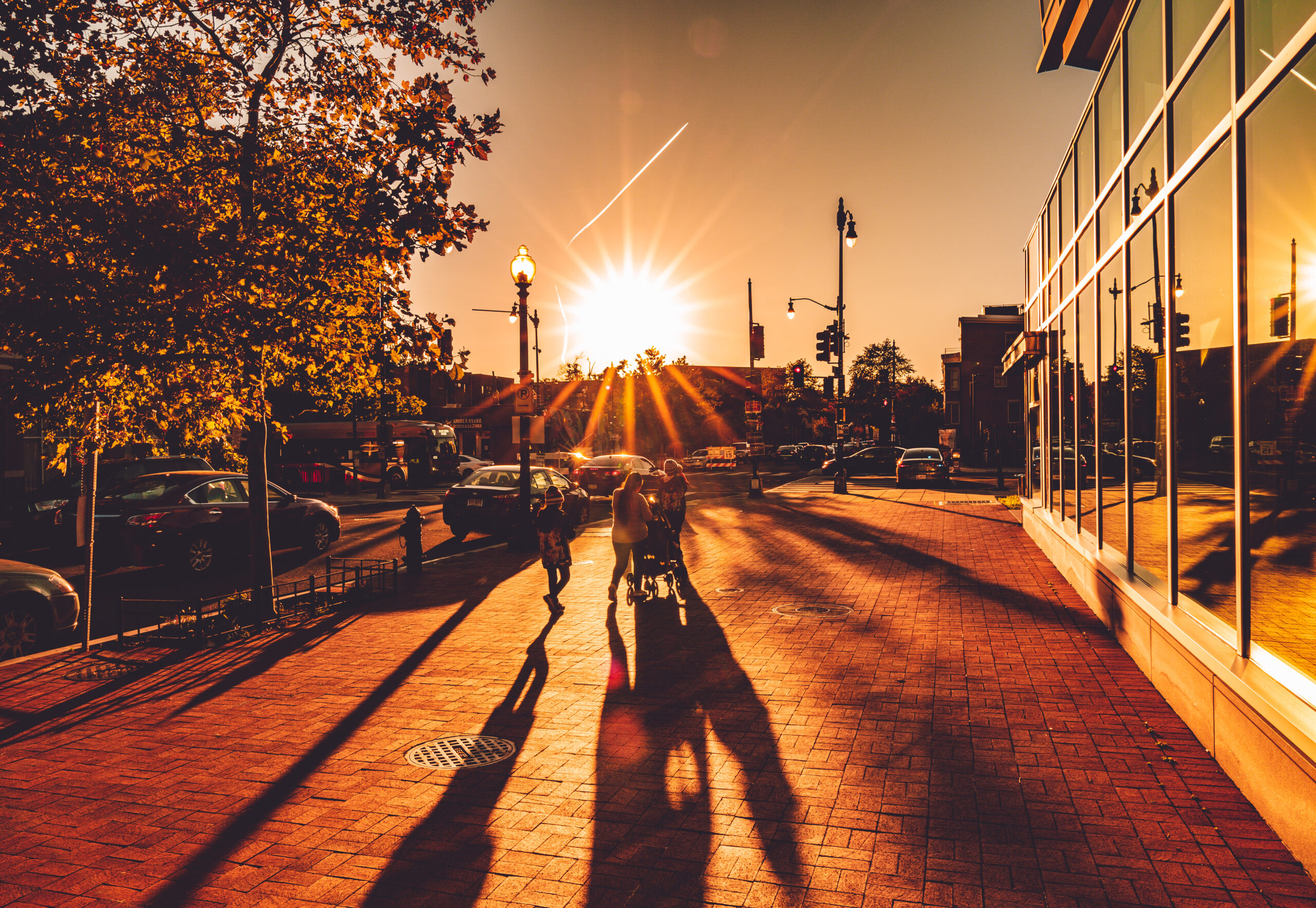 photo of How Far Should Cities Go to Keep Walkers Cool? image