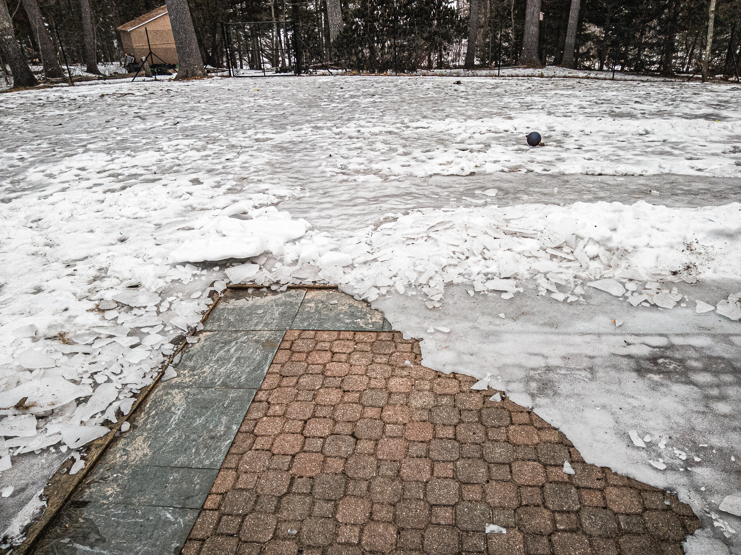 The Deadly Cost of Unplowed Sidewalks in Winter