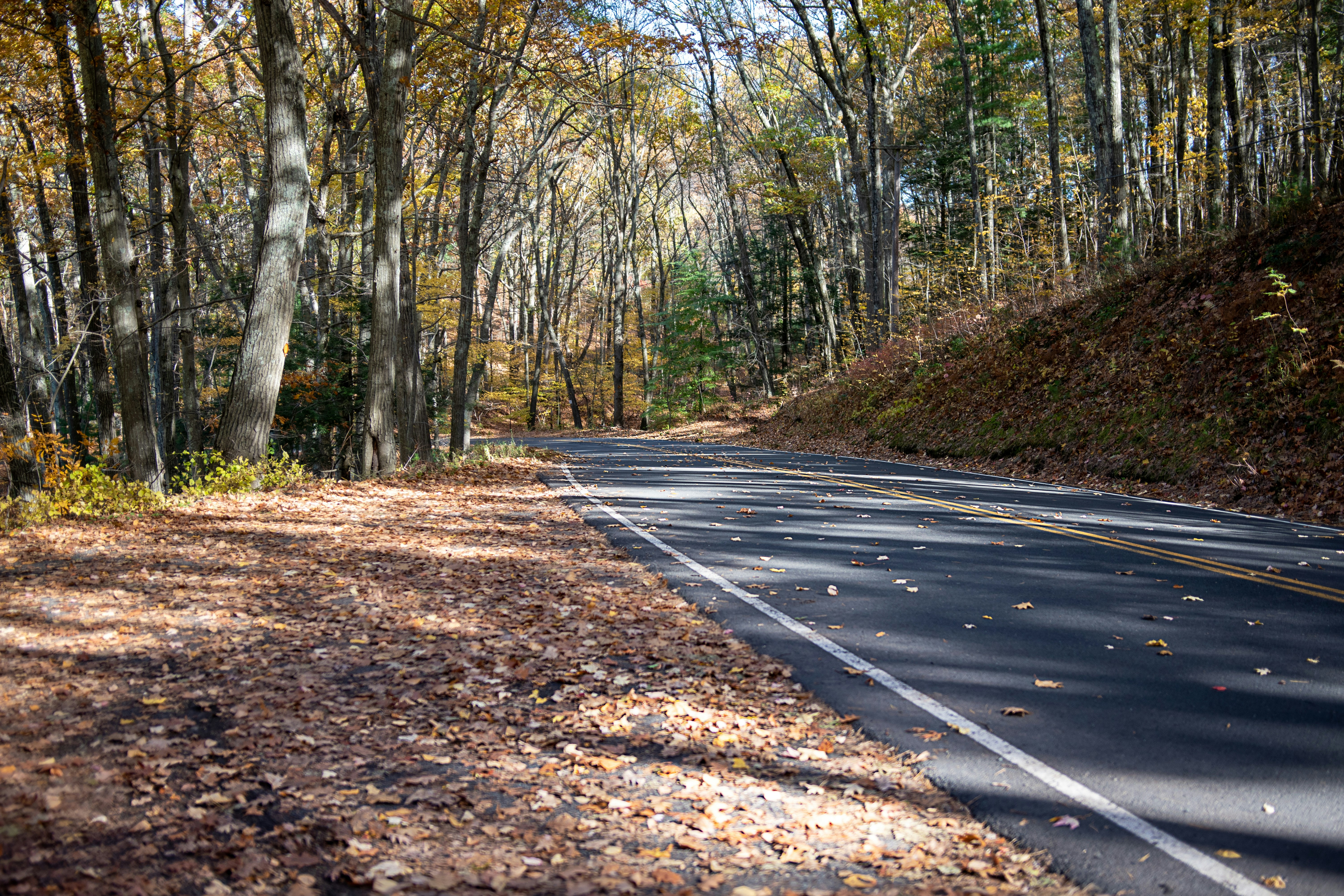 A Child Went For a Walk on a Rural Highway Alone. His Mom Got Arrested For It.