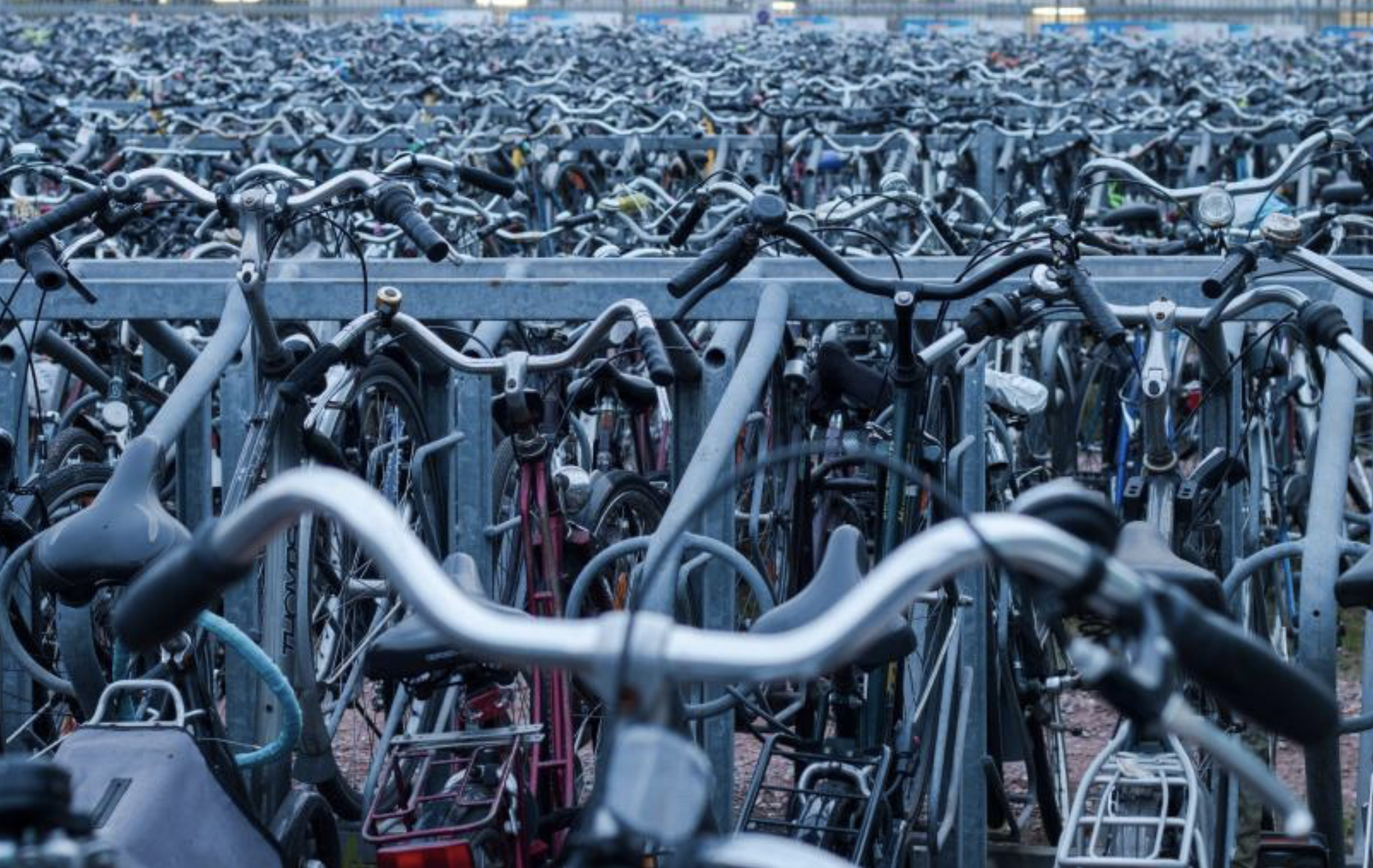 Confirmed: Non-Driving Infrastructure Creates ‘Induced Demand,’ Too